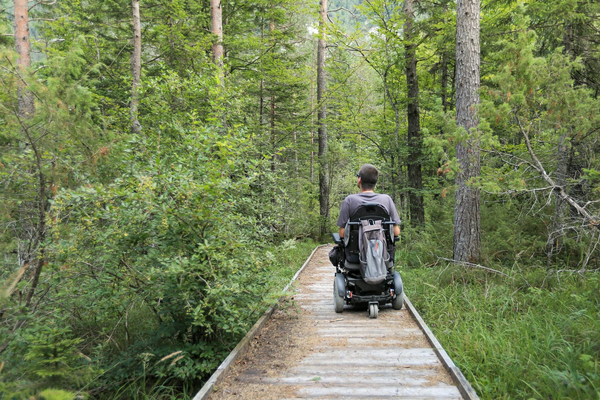 Happy man on wheelchair in nature. Exploring forest wilderness on an accessible dirt path.